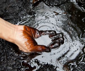 Start Investing in Commodities Today